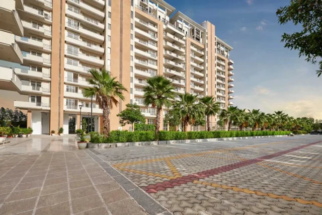 SS The Leaf Sector 85