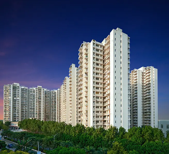 SS Group Residential Properties
