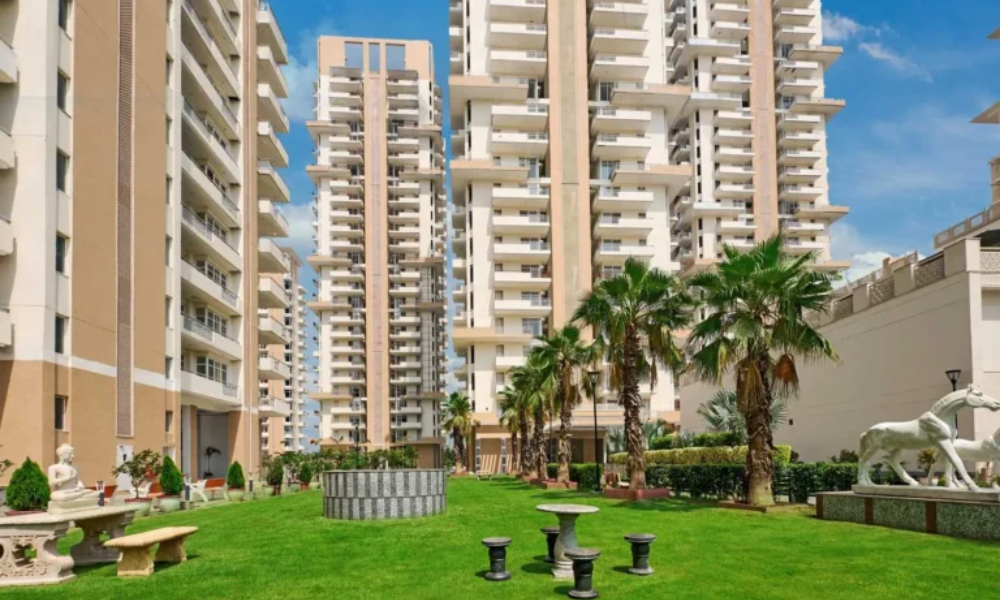 SS The Lilac floor plan