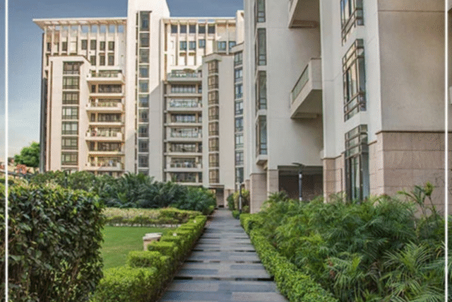 SS Hibiscus Sector 50