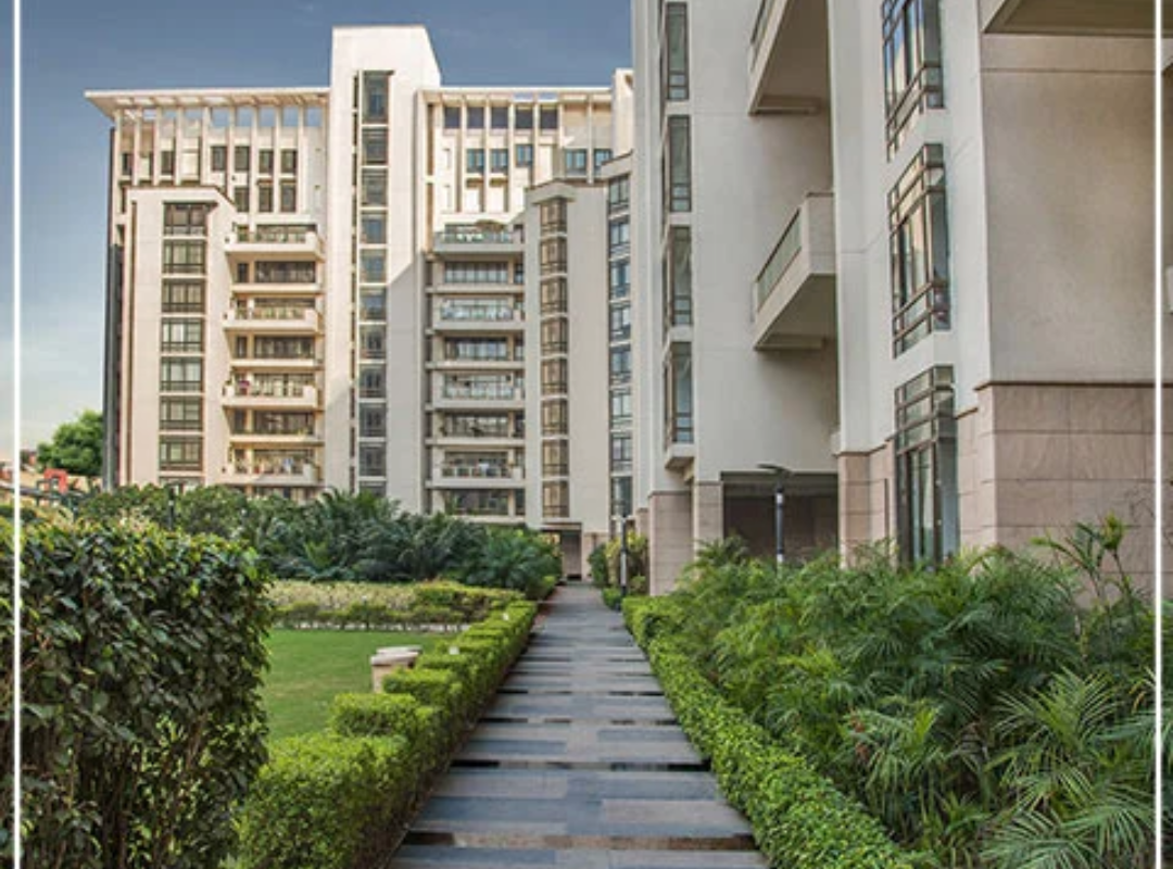 SS Hibiscus Sector 50