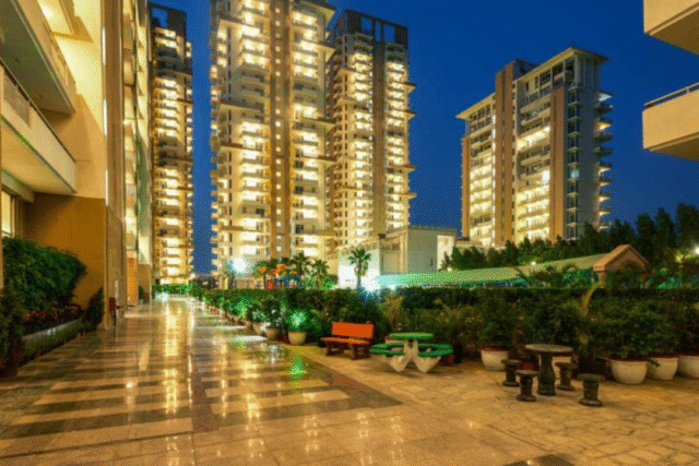 SS The Leaf Sector 85